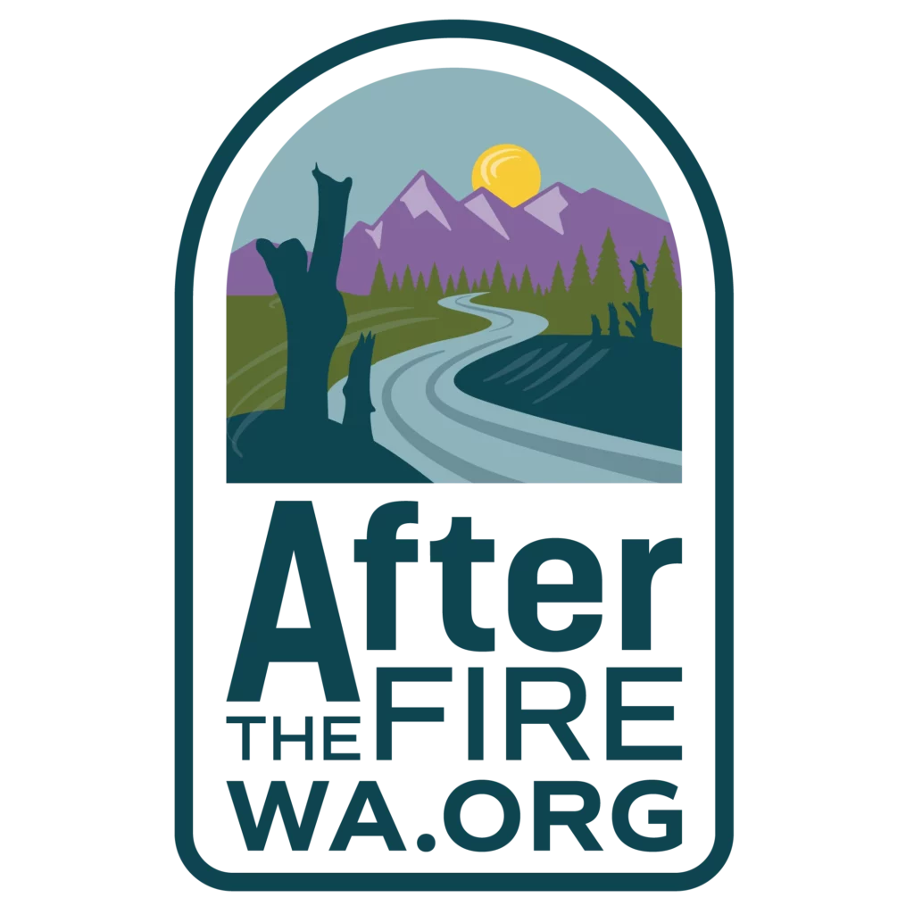 After the Fire main logo